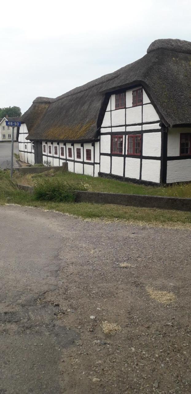 Strandvejen 52, Reersø Exteriör bild